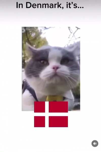 Chocolate in the Nordics