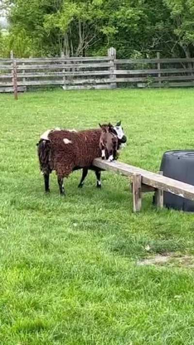 Maybe Maybe Maybe