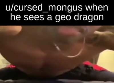 🐲🐲🐲🐲🐲🐲🐲🐲🐲🐲🐲