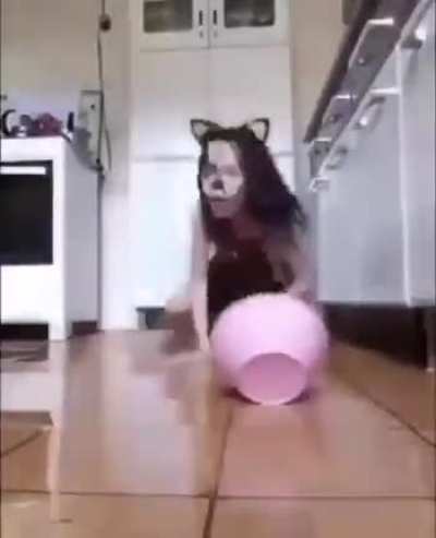 Плохая собака