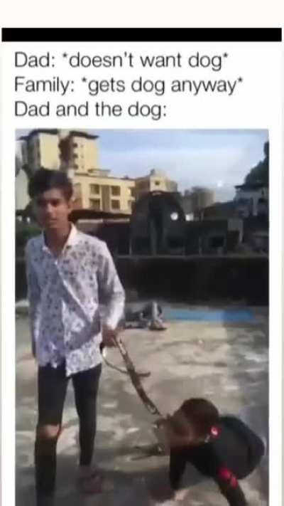 Nothing but just a random indian tiktok video