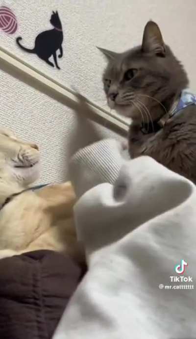 "BE NICE TO MOM!!!" 🤣🤣🤣