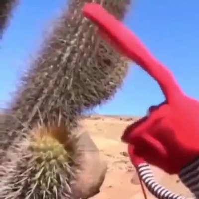 WA-