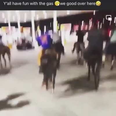 🐴🤠