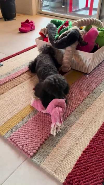 Every morning I put his kibble in an old tea towel and tie it in a knot for him to undo.
