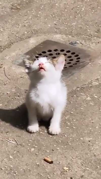 The cutest thing you will see today.