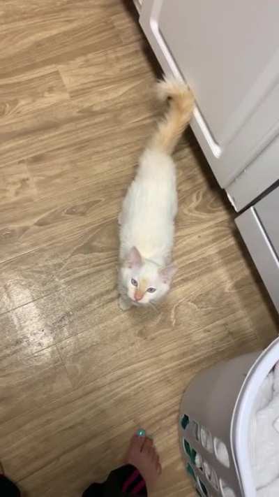 Don&rsquo;t ever be late with breakfast or she will let you know