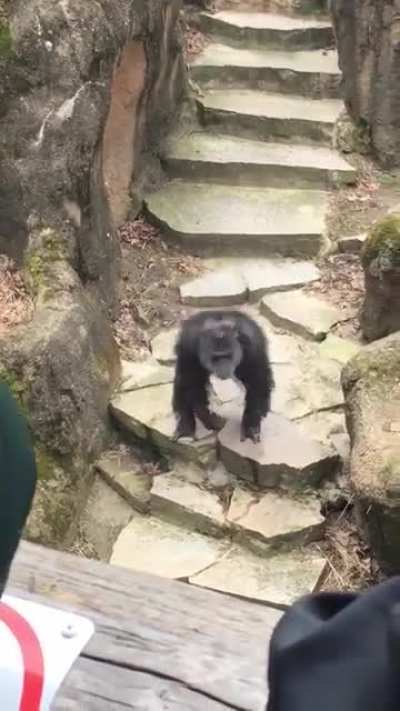 Just another day at the zoo