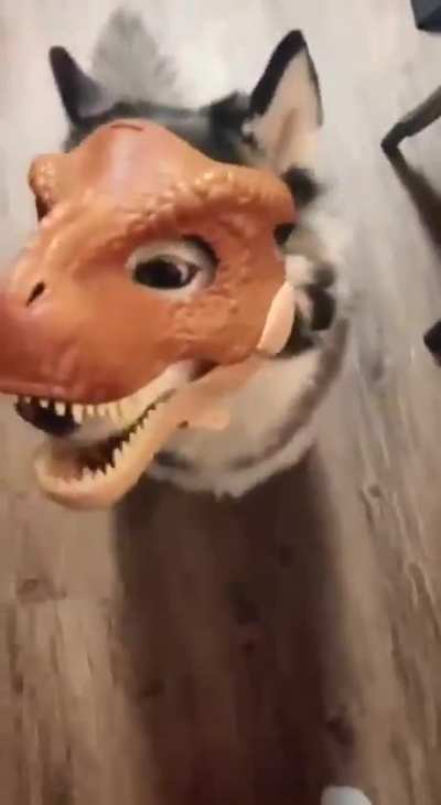 Hungry Dinosaur