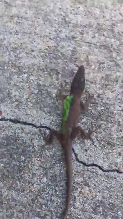 What's wrong with this poor guy
