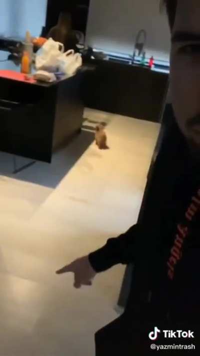 NooOoOo este es tu idolo?