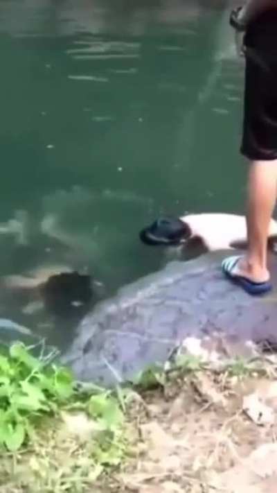 I bet he was pissed 🤣