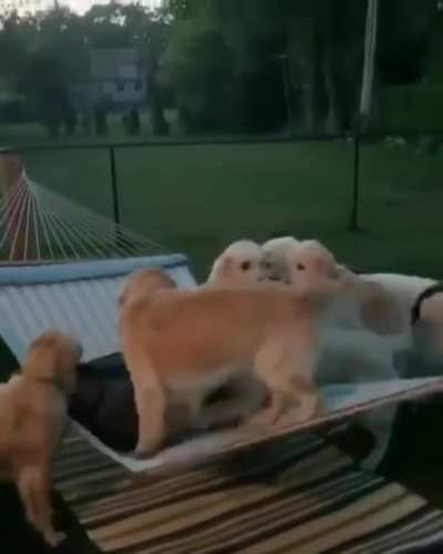 To relax