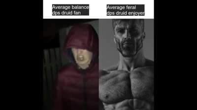Chad cat