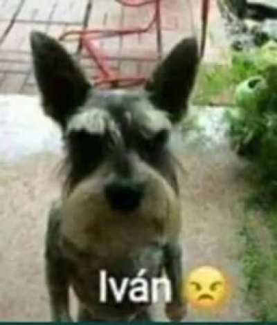 Ivan😡