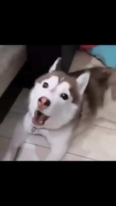 ooooooAAAA-