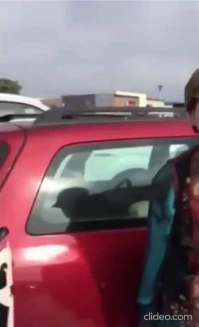 A guy parked next to this woman's car and she clearly was not happy about it
