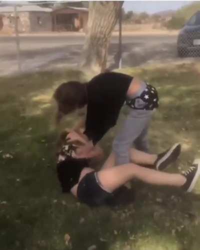 The girl in the stared sweats was fighting the girl in the shorts because she kept bullying her little sister
