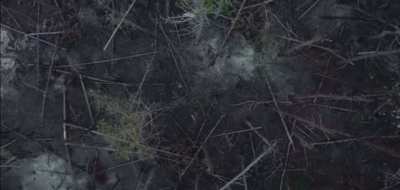 Netflix is ​​shooting a film about the Mykolayiv region. The film "Divya", which Ukrainian documentarians are working on with the support of Netflix, should show the consequences of Russia's actions for the environment.