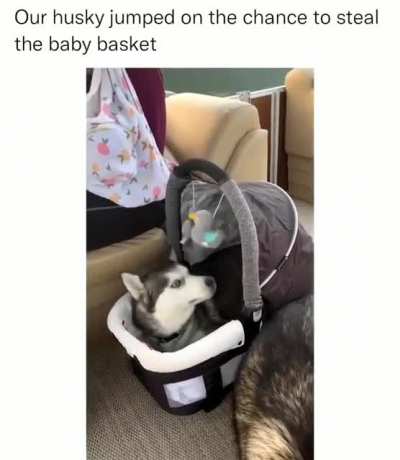 If it fits