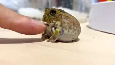 No fingers!