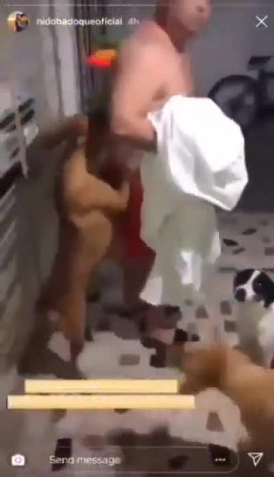 N&atilde;o precisa de inimigos, pois ele tem amigos...
