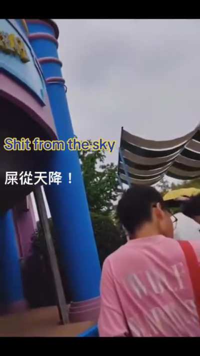 Someone on the amusement park ride took a shit on the people below 🤮🤮