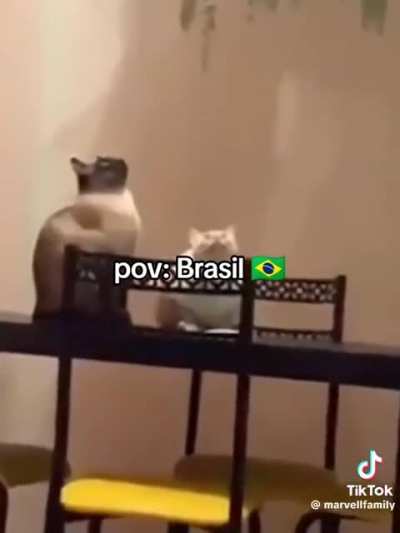 S&oacute; n&oacute;is mesmo pra ter isso