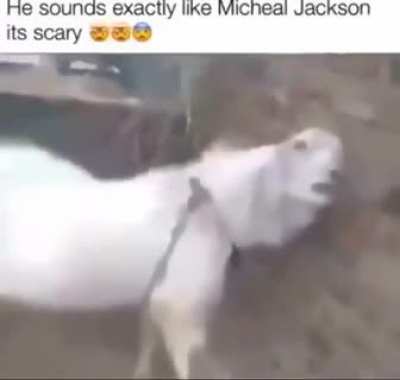 Oh yeah