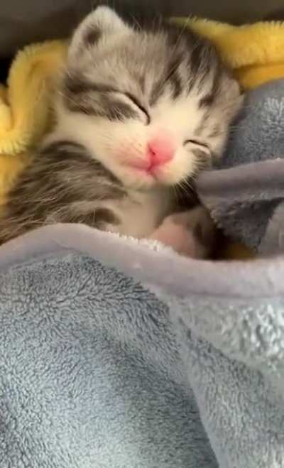 Cutie!!!