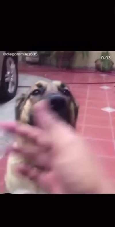 Hey, get the fuck outta here, wop wop wop wop wop wop wop