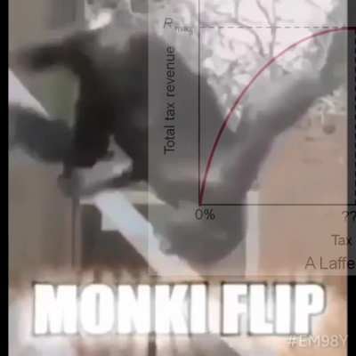 Reject Taxation&zwnj;, Embrace Monke.