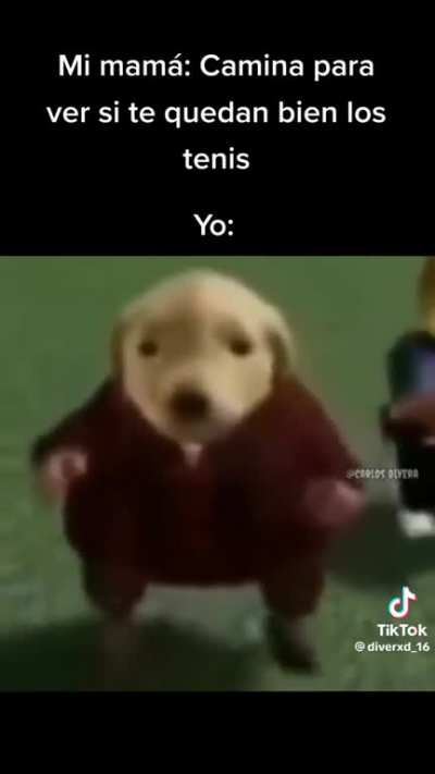 Unos Panam cl&aacute;sicos mamalones