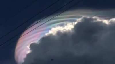 Z&ouml;rgdruśt, the Cyborg Sky-Dragon.