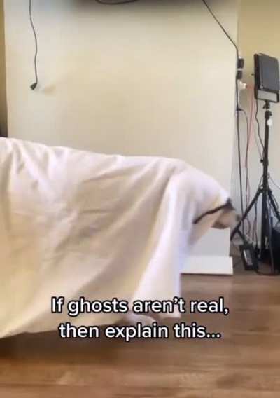 Told y&rsquo;all ghosts were real😂