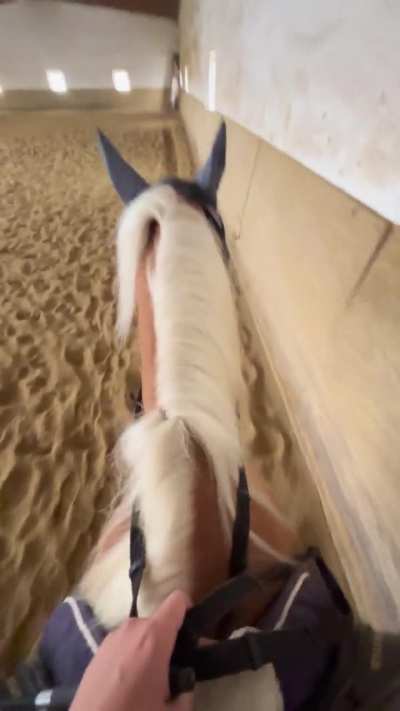 My horse only wants to move when I hum American Venom