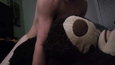 Breeding my bear :3