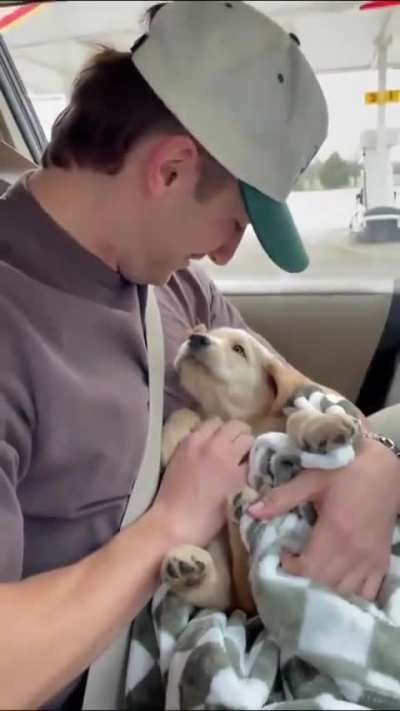 that's adorable.