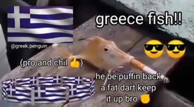stupid turgay fish⛔🇹🇷🇹🇷🤮🤢🤢 vs greek chad fish🇬🇷🇬🇷💪💪🧠