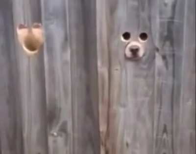 You have a funny feeling like you&rsquo;re being watched.