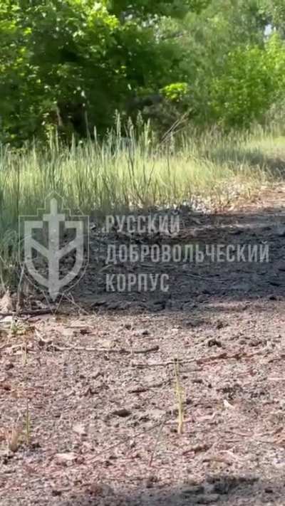 Russian Volunteer Corps 🗡🔆: 6.1.2023 "Our forward detachments are already fighting on the outskirts of Shebekino (Novaya Tavolzhanka/Titovka). Glory to RVC!"