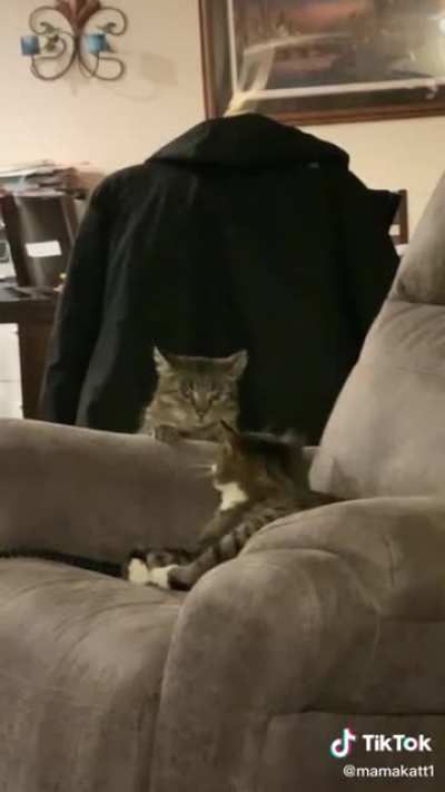 "What do you think you're doing"