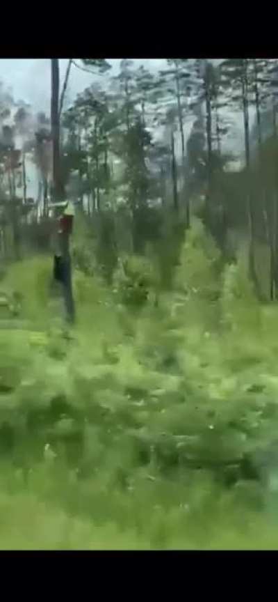 Animal attack.
