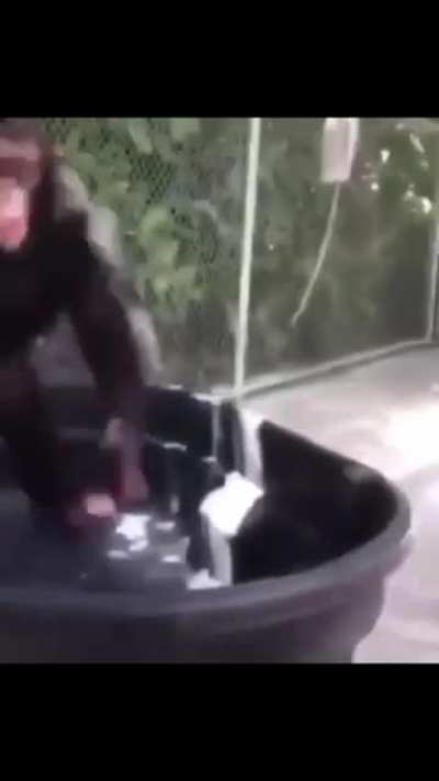 When you get 2 bananas instead of 1