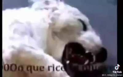 $I?