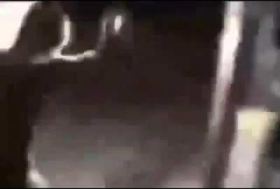 cursed_loco