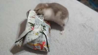Gifts for everyone!