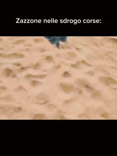 Zazzone230 re delle sdrogo corse