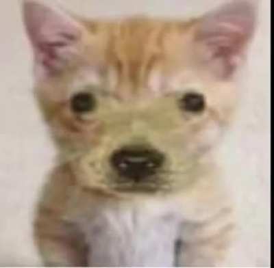 yo