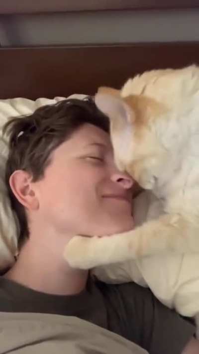 Let me love you